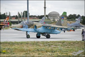 D7T_4178